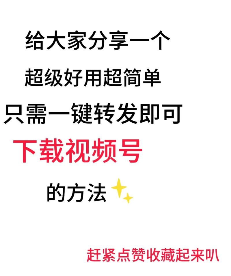 揭秘视频号的秘密武器：如何利用自动点赞功能提升人气？