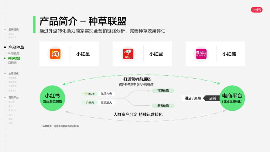 **“小红书粉丝网站：内容创作者变现新捷径”**