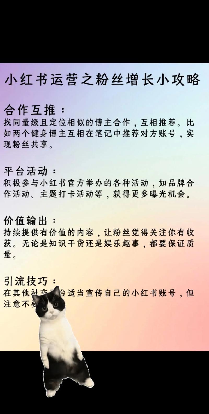 微博粉丝增长攻略：揭秘刷粉网的实用技巧！
