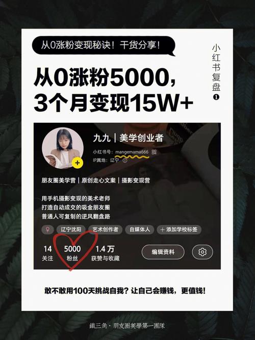 **小红书粉丝增长秘籍：从0到10万的蜕变之旅**