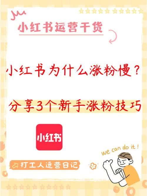 **标题：小红书涨粉秘籍大公开！1元成本轻松获取千粉不是梦！**